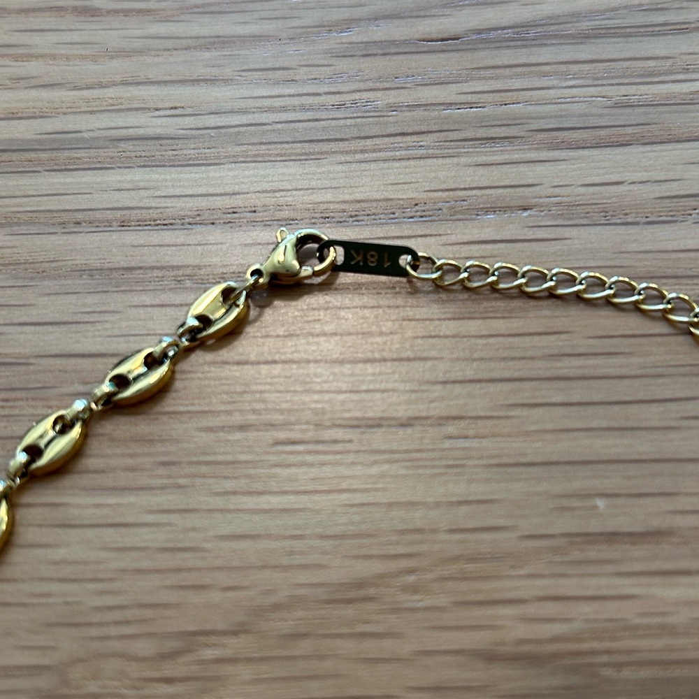 Ana Luisa 18K Gold Plated Chain Link Necklace - Picture 5 of 7
